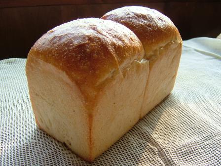 酵母・粉・塩・水だけのシンプルな食パン。噛むほどに酵母と粉の香りが感じられます。